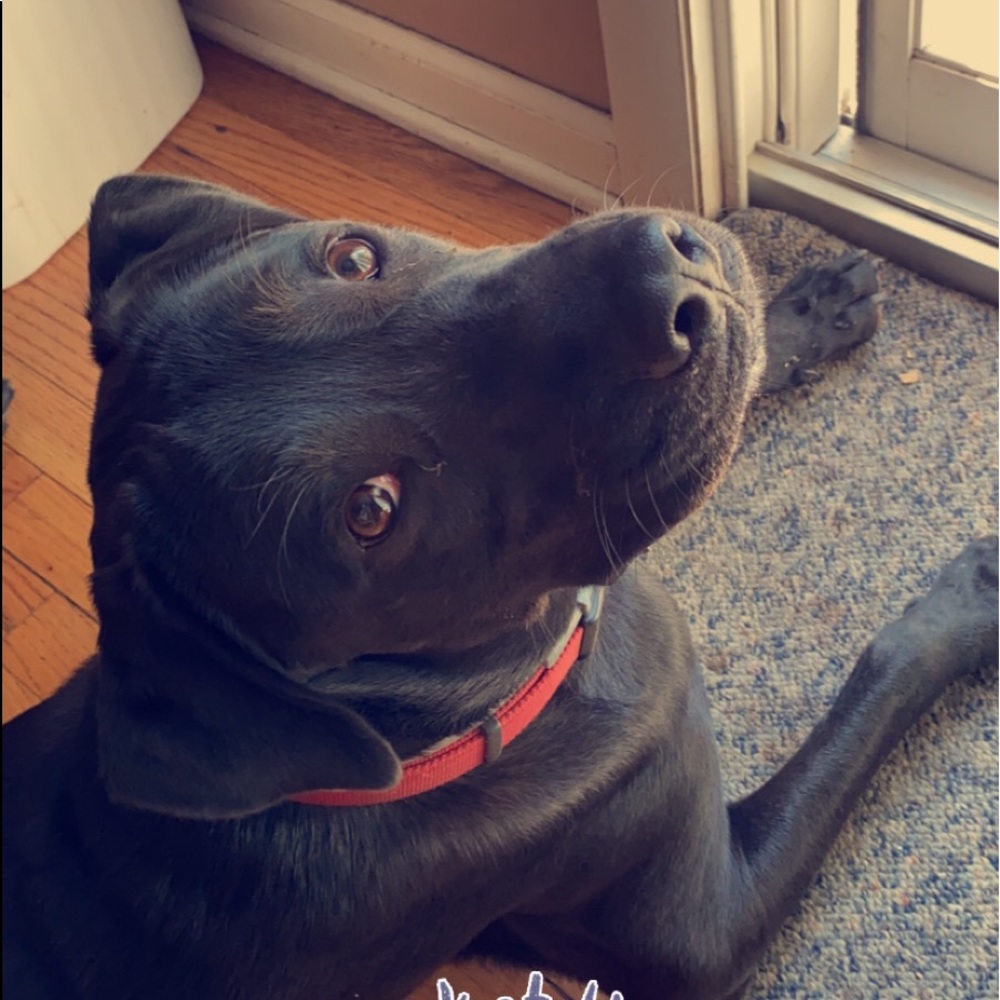 Meet your Posher, Angie